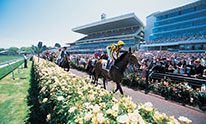 Spring Racing Carnival 1 Spring Racing Carnival 1