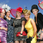 springracing8 springracing8